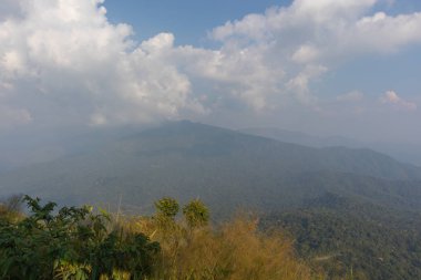 Thong Alpha phum Ulusal Parkı, Kanjanaburi, Tayland 'daki güzel manzara dağı ve ağacı.