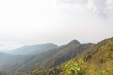 Thong Alpha phum Ulusal Parkı, Kanjanaburi, Tayland 'daki güzel manzara dağı ve ağacı.