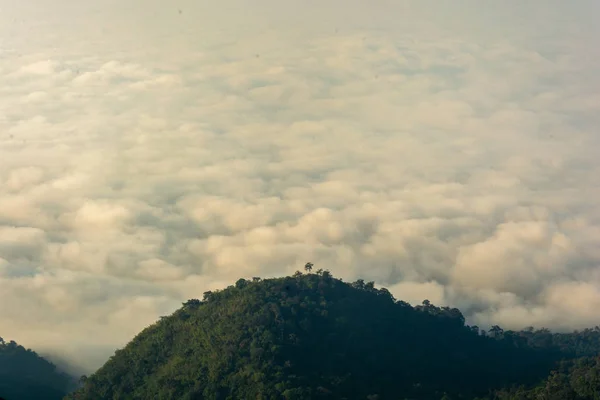 タイのカンチャナブリにあるポムピー国立公園の山の上の霧の海 — ストック写真