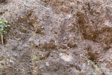 Tayland, Kanchanaburi 'deki tepede taş dokusu tabakası.