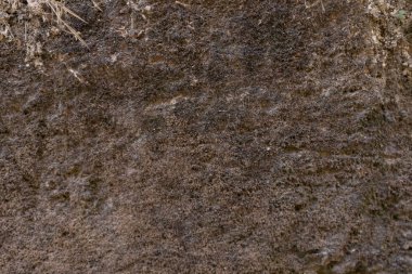 Tayland, Kanchanaburi 'deki tepede taş dokusu tabakası.