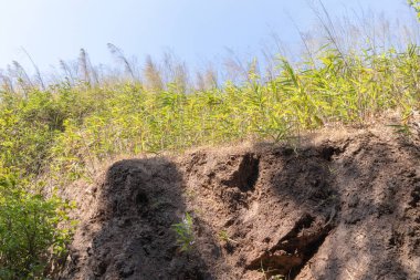 Tayland, Kanchanaburi 'deki tepede taş dokusu tabakası.