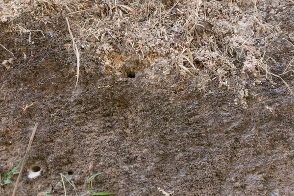 Capa de textura de piedra en la colina en kanchanaburi, Tailandia — Foto de Stock