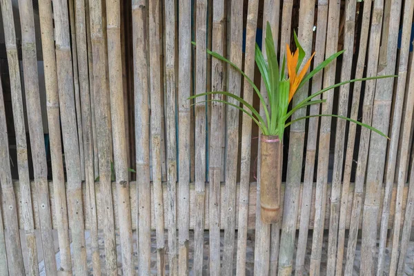 Decoración de la pared de bambú en Phatthalung, Tailandia — Foto de Stock
