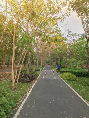 Tayland 'da güneşli bir günde açık beton bisiklet yolu