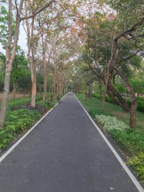 Tayland 'da güneşli bir günde açık beton bisiklet yolu