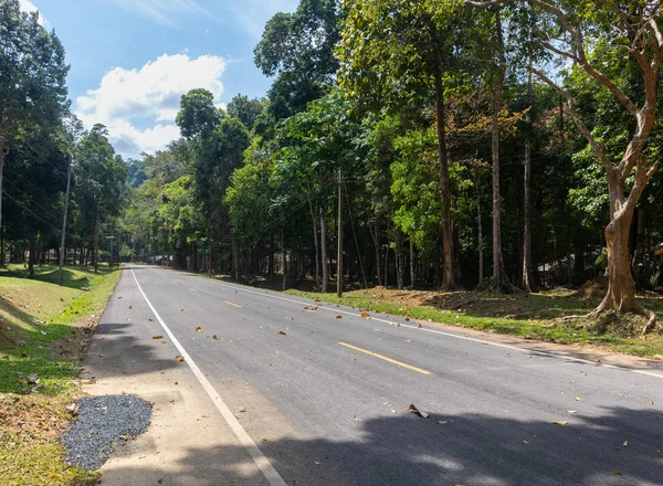 Estrada de concreto local com floresta em Phatthalung, Tailândia — Fotografia de Stock