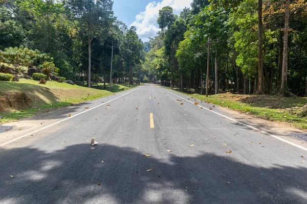 Estrada de concreto local com floresta em Phatthalung, Tailândia — Fotografia de Stock