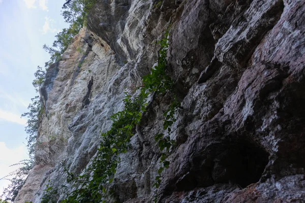 ภูเขาหินปูนที่อุทยานแห่งชาติเขาพู, พัทลุง, ประเทศไทย — ภาพถ่ายสต็อก