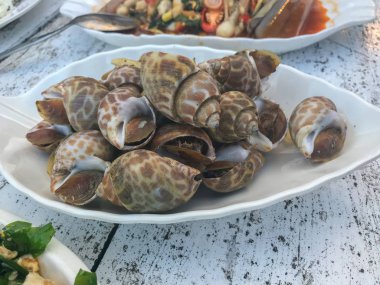 Kaynamış kabuğu beyaz tabakta kapat