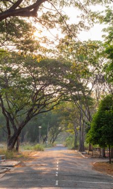 Parkta boş beton yol var.
