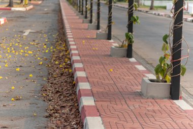 Tayland 'da otoparkın yanındaki patikada.