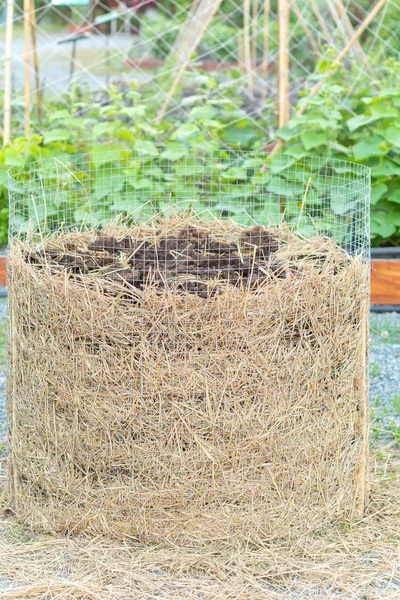 Homemade organic fertilizer at the garden — 스톡 사진