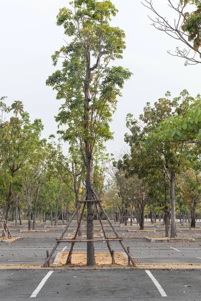 Aparcamiento vacío al aire libre en el parque, Tailandia — Foto de Stock