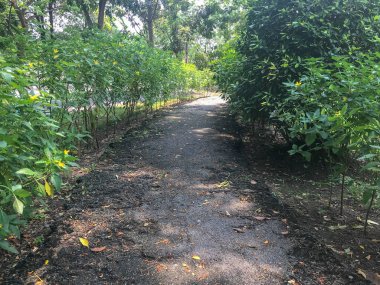 Tayland 'da parkın dışındaki patikada.