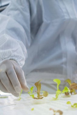 Laboratuvarda hidrofonik fabrikası olan beyaz takım elbiseli bilim adamı.