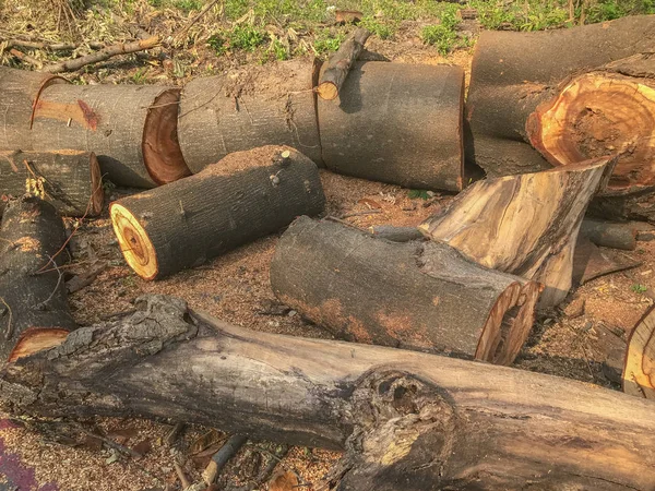 Купа дерев'яних колод біля вулиці — стокове фото