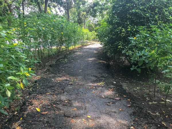 Utomhus väg vid parken, Thailand — Stockfoto