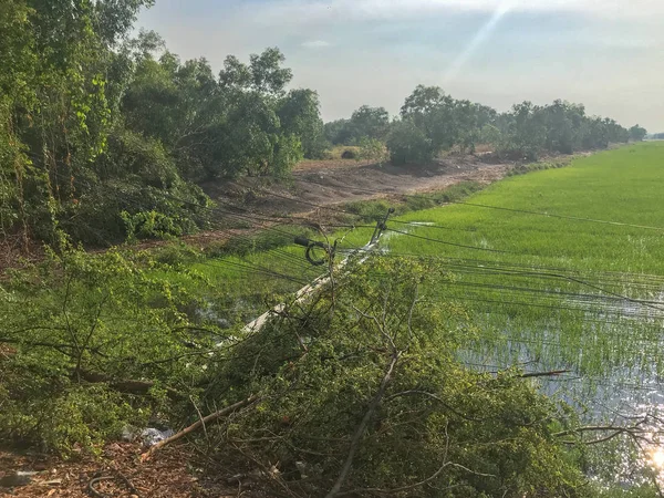 Poste de eletricidade cair perto da estrada na Tailândia — Fotografia de Stock