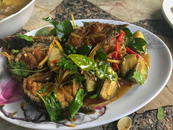 Kryddig röra Stekt havskatt med thai ört, thailändsk stil mat — Stockfoto