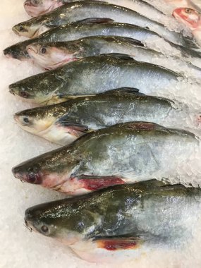 Bir sıra soyulmuş kedi balığı yemek, yemek, sağlıklı, konteyner, Specie, fantezi, canlı, kalabalık, zehir sohbeti, baloncuk, sivrisinek, paketlenmiş, yakın, yaşam, yoğunluk, istilacı, poz verme