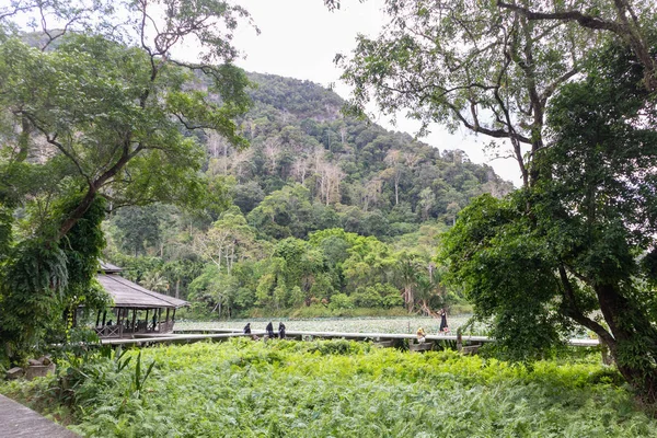 Lotusdamm i Thale Ban National Park, Satunprovinsen söder om Thailand — Stockfoto