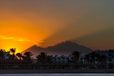 Uçurtma sörfü, Mısır