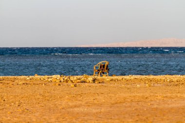 Kite surfing, Egypt clipart