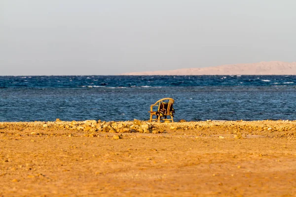 Kite surfing, Egypt — Stock Photo, Image