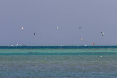 Uçurtma Sörfü-El guna, Egypt