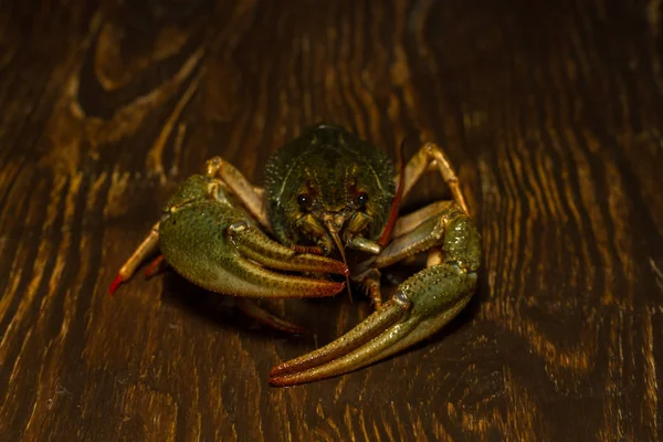 Live crawfish on a wooden board — Stock Photo, Image