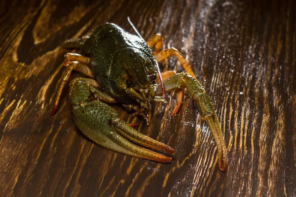Crawfish vivant sur une planche de bois — Photo
