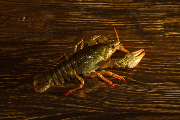 Hidup udang di papan kayu — Stok Foto