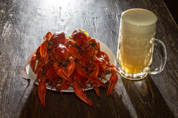 Bord met gekookte langoesten en een glas bier — Stockfoto