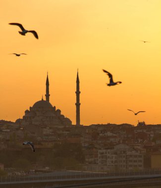 Istanbul, Camii, günbatımı, martılar