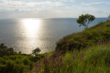 Seascap, Deniz Cliff