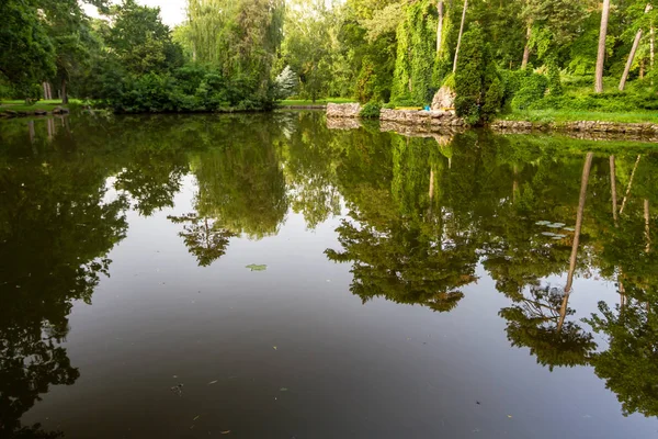 El lago en el parque. Bosque, árboles, reflejos . — Foto de Stock