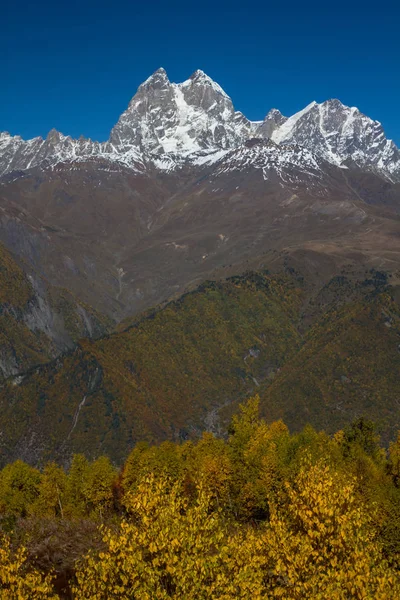 Cima gobba del Monte Ushba, Georgia . — Foto Stock