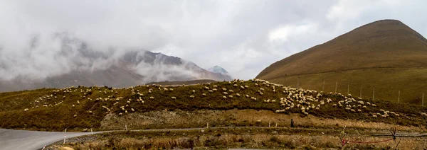 Paesaggi della strada militare georgiana, Georgia — Foto Stock