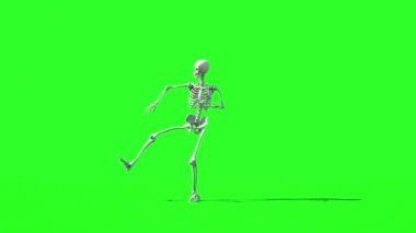 Deli iskelet komik dans. Gi render. Yeşil ekran görüntüleri. Cadılar Bayramı kavramı