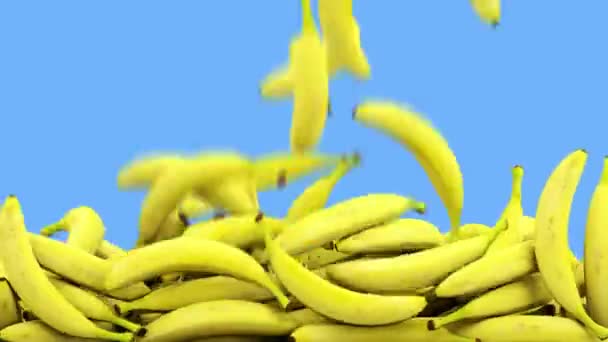 Plátanos cayendo. Animación realista.Aislar la pantalla verde — Vídeo de stock