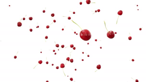 Cherrys met waterdruppels vallen. Realistische animaties. Isoleren — Stockvideo