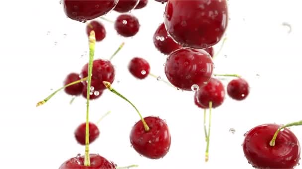 Cherrys caindo com gotas de água.Animação realista.Isolar — Vídeo de Stock