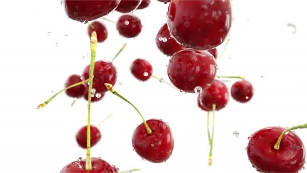 Cherrys met waterdruppels vallen. Realistische animaties. Isoleren — Stockvideo