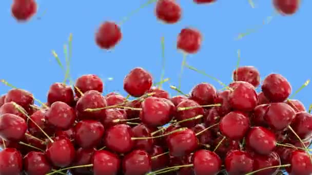 Cherrys caindo com gotas de água.Animação realista.Isolar — Vídeo de Stock