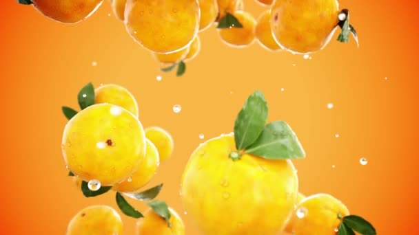 Oranges fraîches tombant avec des gouttes d'eau. Au ralenti. Animation réaliste.Isoler — Video