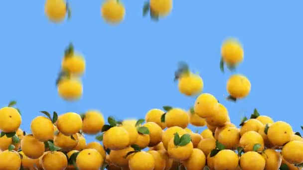 Naranjas cayendo. Animación realista.Aislar la pantalla verde — Vídeos de Stock