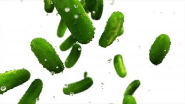 Taze salatalık su damlaları ile düşüyor. Gıda kavramı. Ağır çekim. Alfa mat ile izole