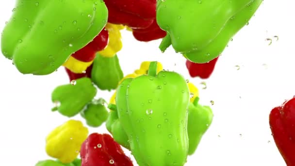Frisse kleuren paprika's vallen. Voedsel concept. Slow-motion. Isoleren met alpha — Stockvideo