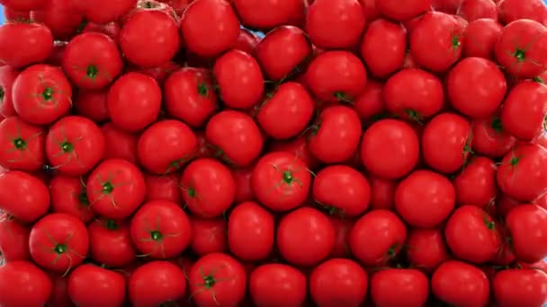 Świeże pomidory, spadające krople wody. Koncepcja żywności. Wyizolować z alfa matowy — Wideo stockowe